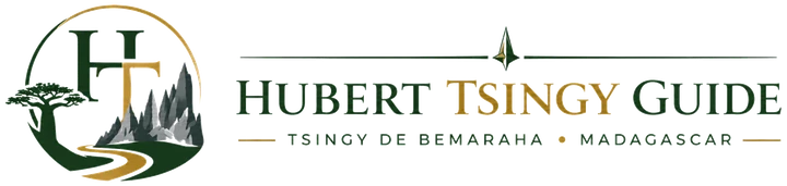 Hubert Tsingy Guide
