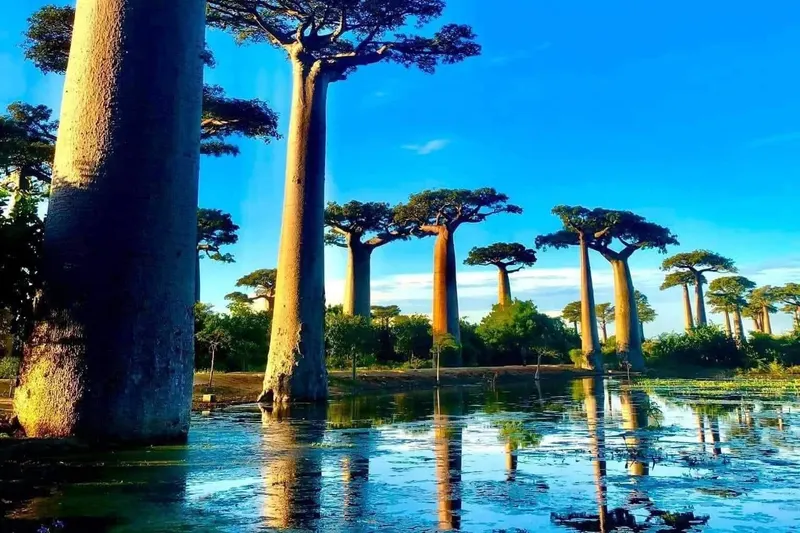 Complete Circuit Ultimate Journey Western Madagascar package