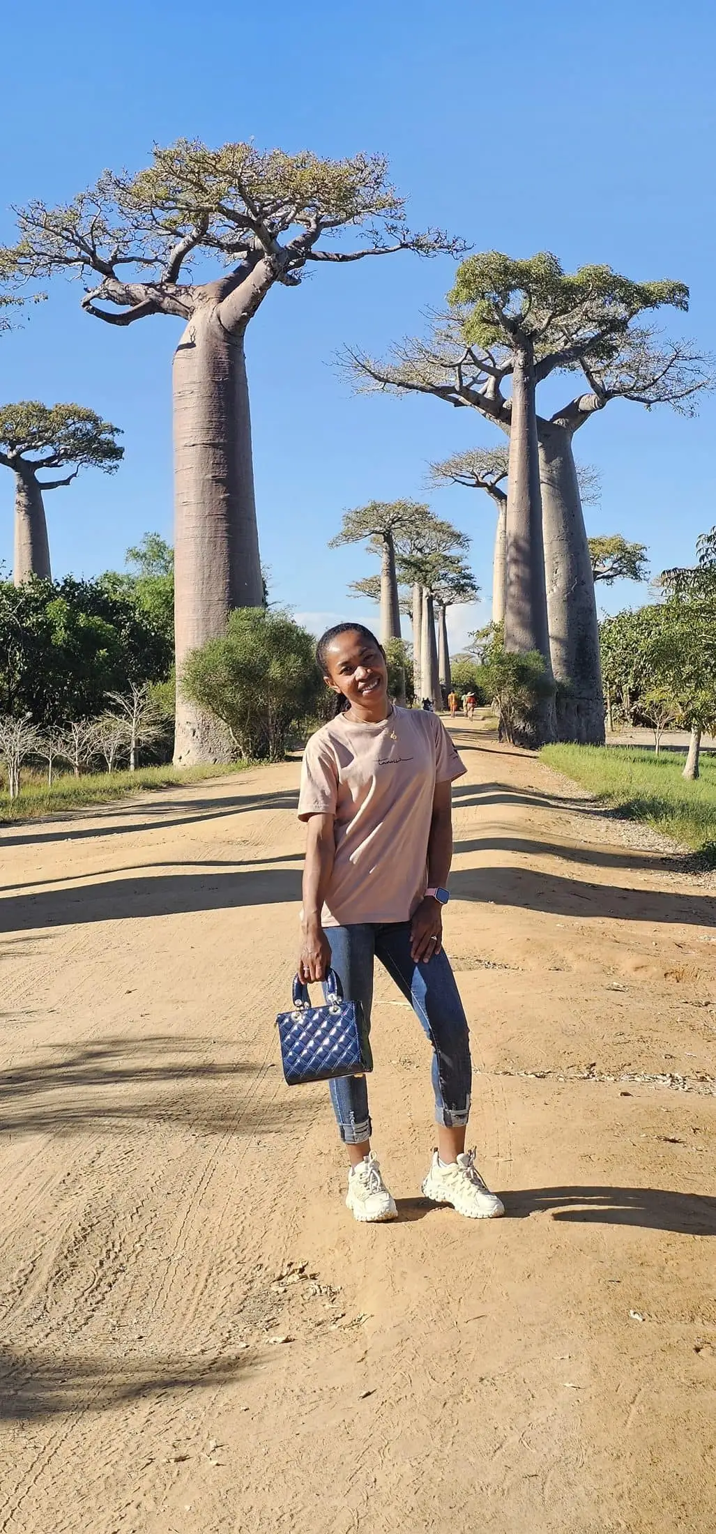 Avenue of the Baobabs at sunset
