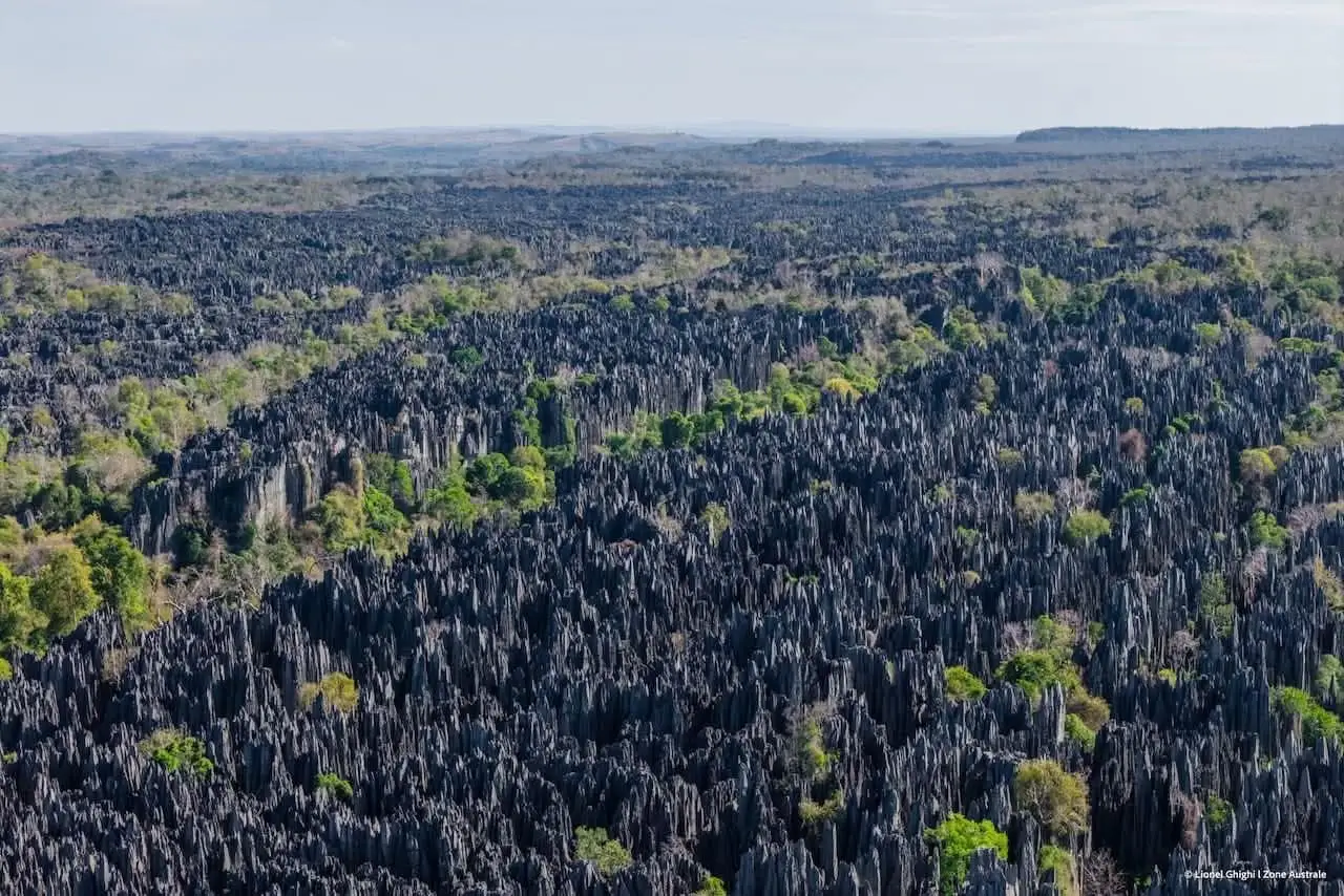Stone forest of Tsingy de Bemaraha