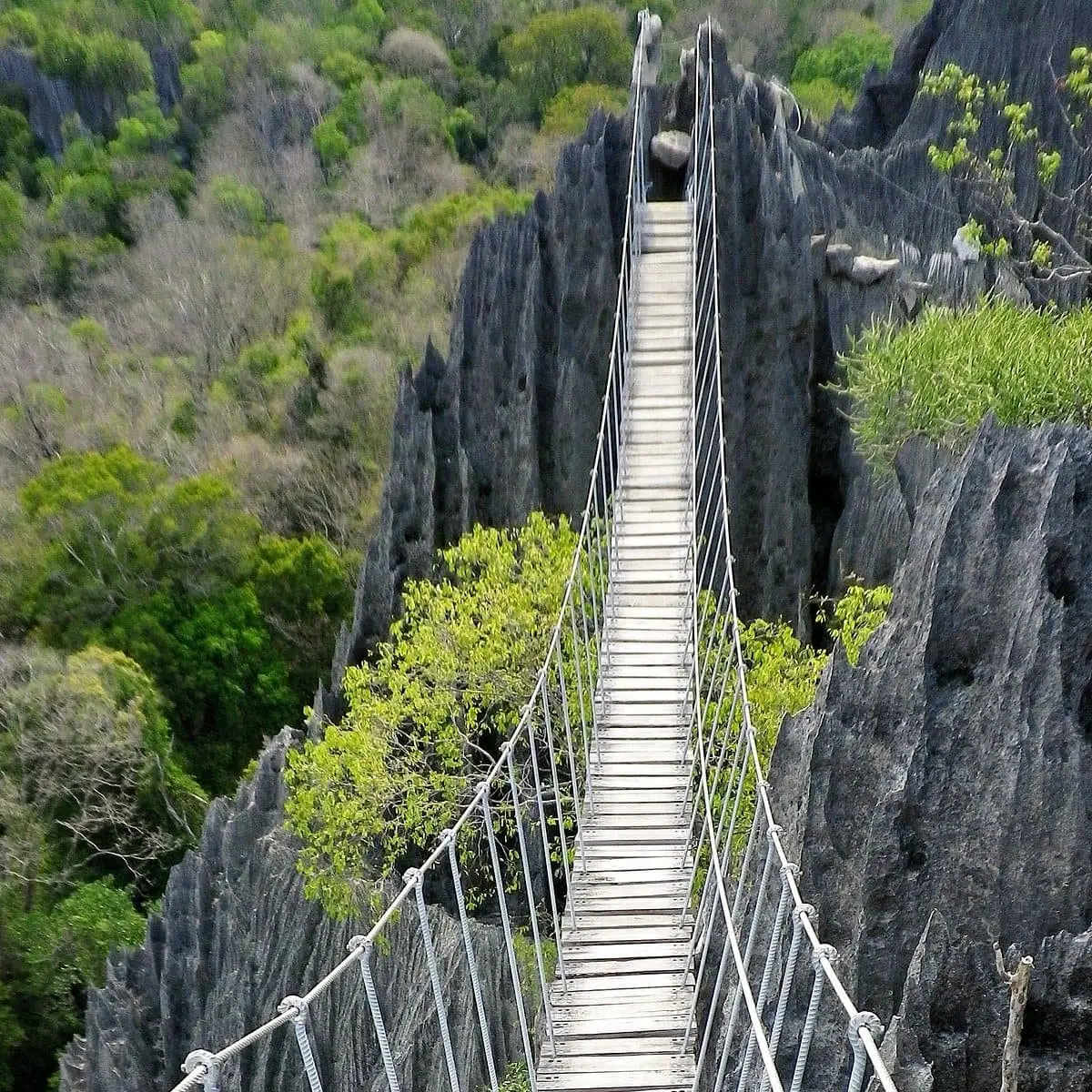 Tsingy de Bemaraha limestone stone forest